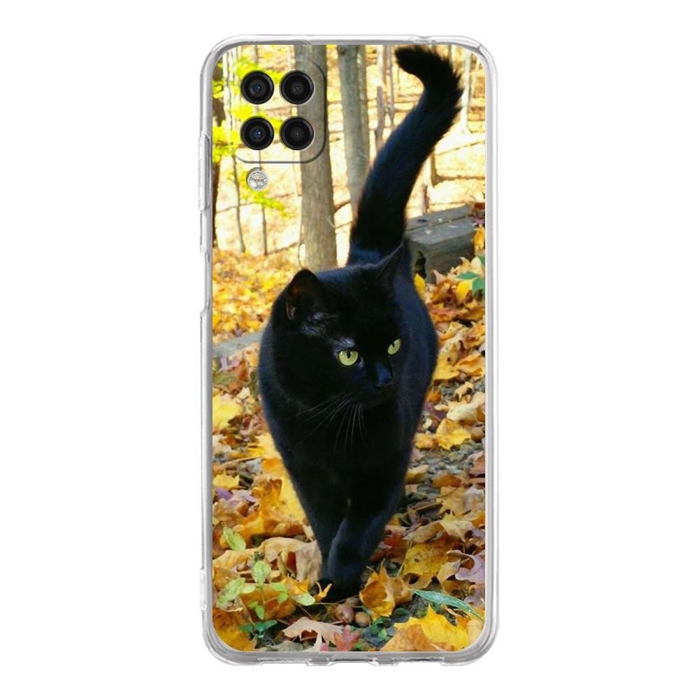 Case For Samsung Galaxy A13 A23 A33 A53 A73 5G A51 A71 A21S A12 A11 A31 A41 A03s A52 A32 A22 Clear Cover Black Cat Staring Eye
