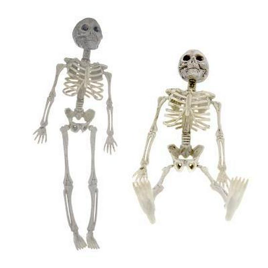 Halloween Skull Lizard Skeleton: Scary Prank Toy for Ghost Festival One Size