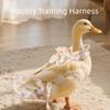 Cute Goose Breast Strap Wearable Chicken Diapers Traction Chest Strap Pet Duck Diaper  Pet Supplies