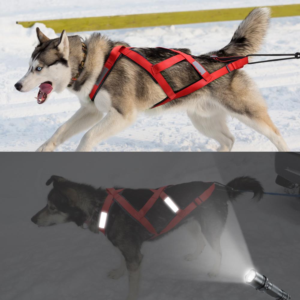 Imbracatura da Slitta per Cani Riflettente Pettorina per Animali Domestici da Trazione con Slitta per Cani Medi Grandi Husky Canicross Skijoring Scootering