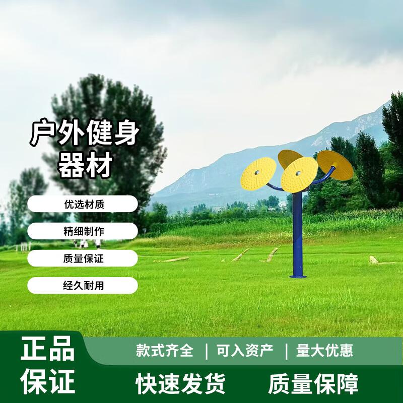 Chongye Outdoor Tai Chi Rotator