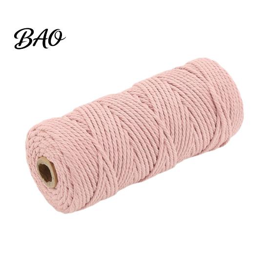 Corda Morbida in Cotone per Arte dell'Intreccio Corda da 3 mm, 100 Metri Corda Colorata Resistente Intrecciata per Artigianato Crochet Lavorazione Arazzi, Intreccio a Mano, Artigianato Fai da Te Gioielli