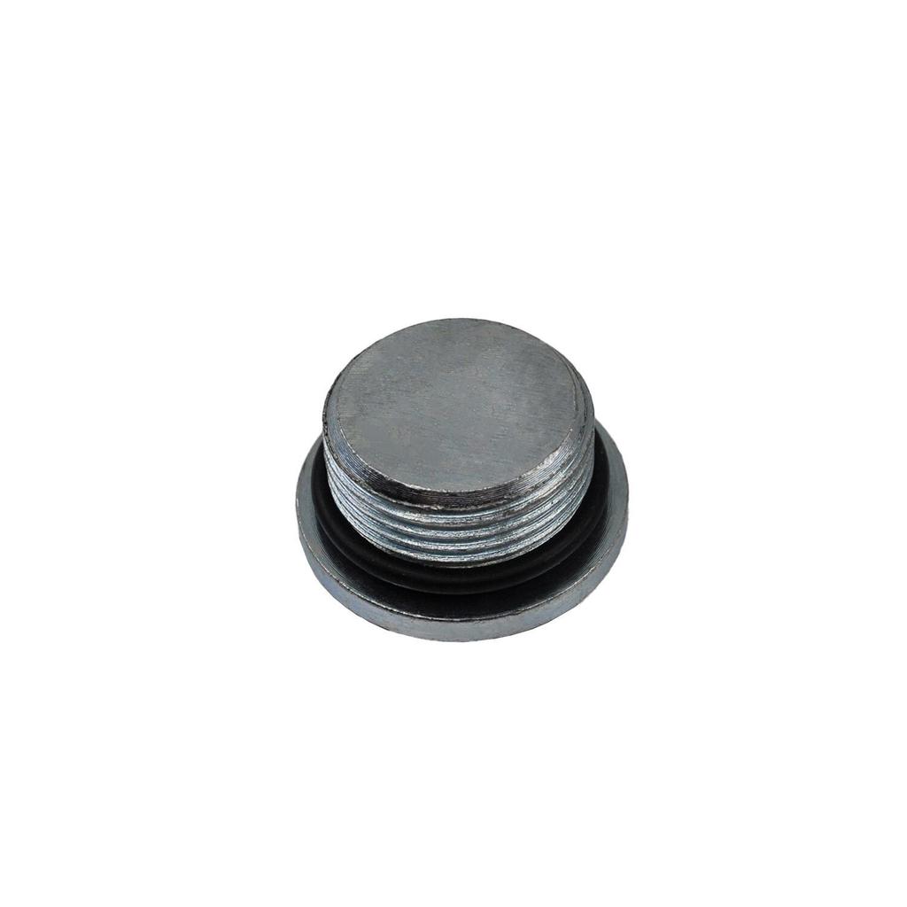 Washer Oil Pan Plug for Fiat, Citroen, Peugeot, Iveco, Jeep