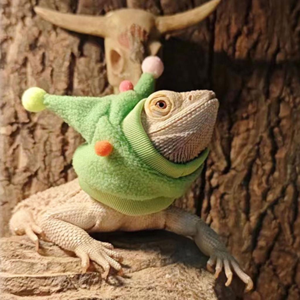 Reptilien Hut Modischer Pompon Verstellbarer Riemen Bartagame Foto-Requisiten für Reptilien-Enthusiasten