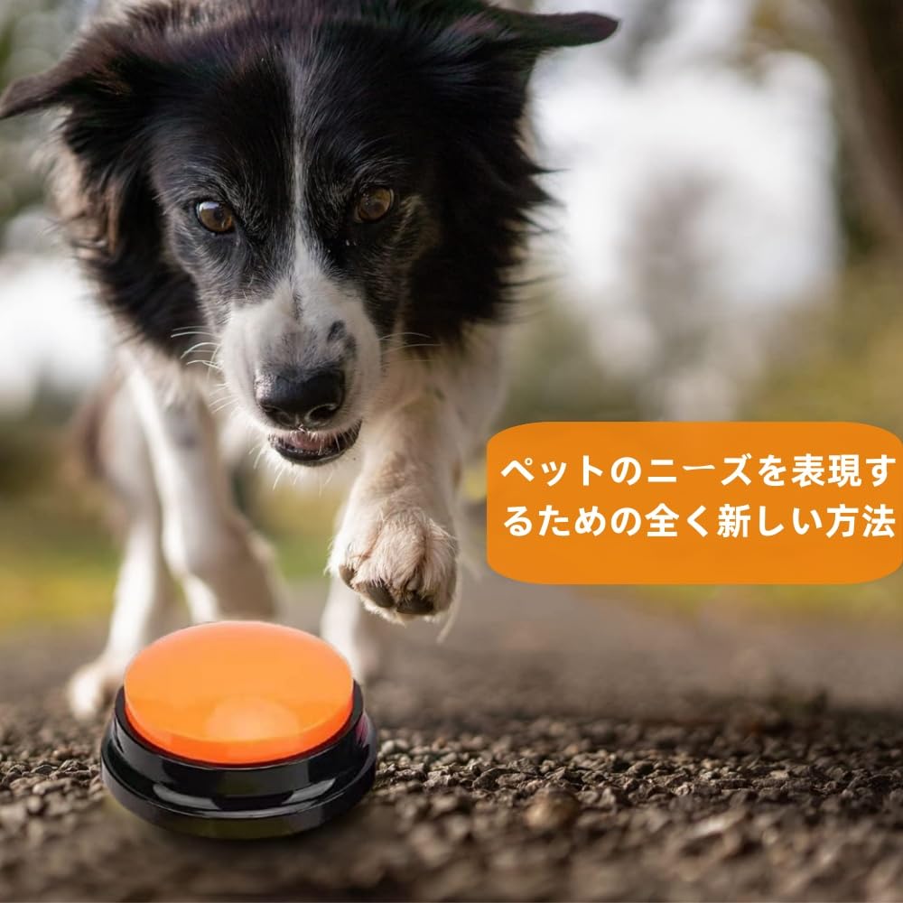 Pet Talking Button, Dog Talking Button, Set of 2, Dog Talking Buttons, Communication with Dogs, Recording Button, Dog Educational Toy, Training Toy,