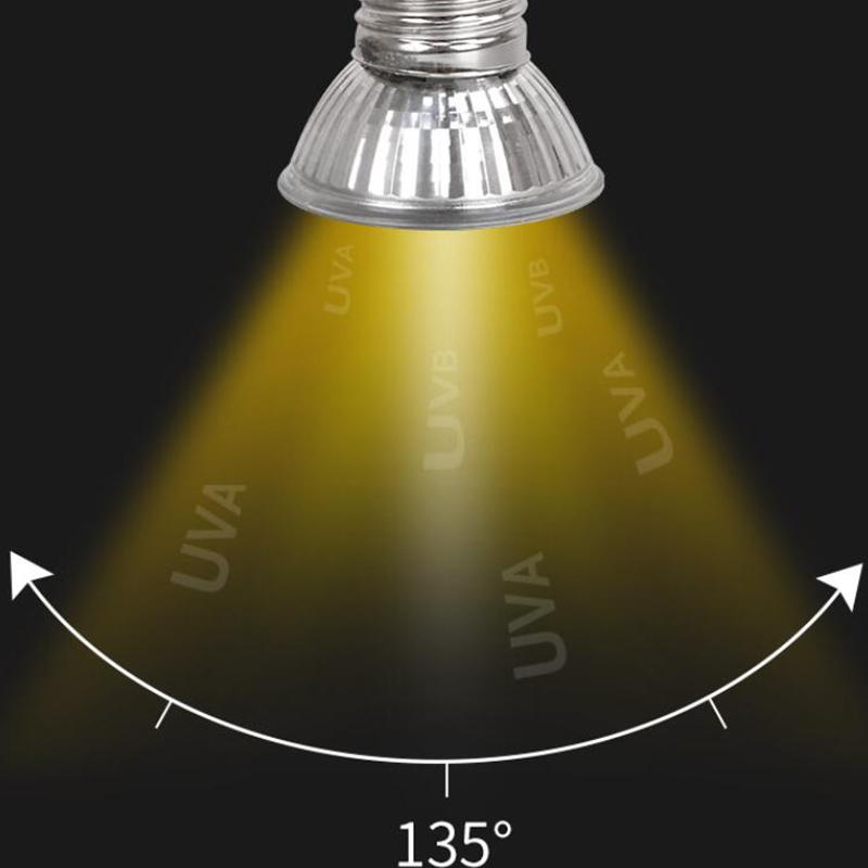 Reptile Heating Lamp Turtle Basking Halogen Light Bulb Heating Light Full Spectrum Sunlamp for Lizards Amphibians 25/50/75W