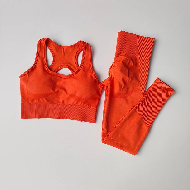 Women's Quick-Dry Seamless Sports Bra and Leggings Set - Shockproof Vest for Running and Yoga