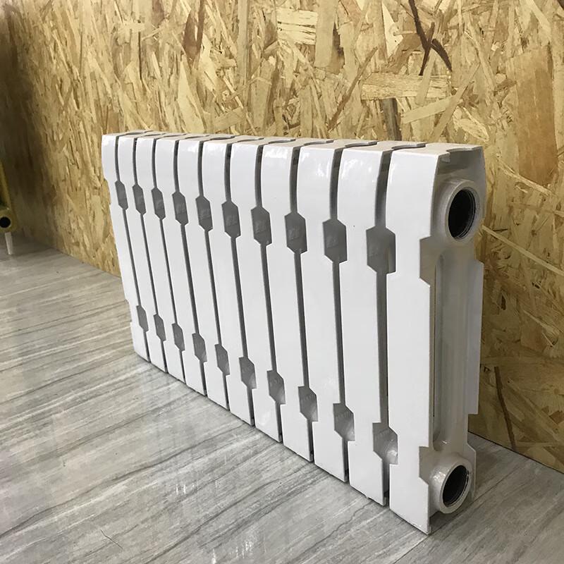 Xin Yu TJ-NT028 Cast Iron Radiator