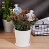 2PCS Pomegranate Flower Watering Machine Glass Creative Modeling Watering Machine Pot Lazy Watering Machine