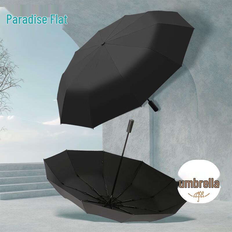 

Tiangang Automatic 10-Rib Sun & Rain Umbrella