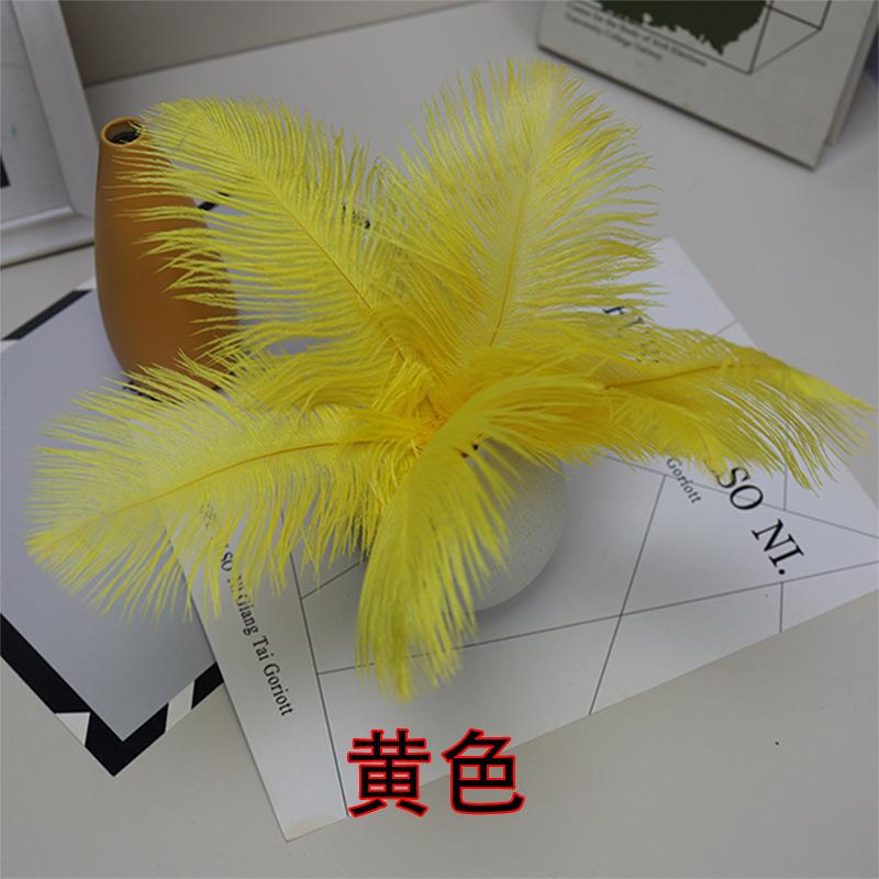 10 STÜCKE 20-25Cm Straußenfeder Bühnenauftritt Feder Handgefertigt DIY Schmuck Dekomaterial Straußenhaar
