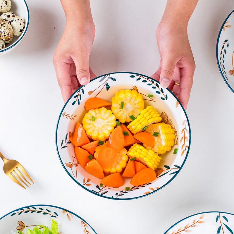 Ruhan Fawn 16-Piece Ceramic Dinnerware Set