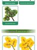 Artificial Red Maple, Ginkgo, Birch, Banyan, Elm Leaves for Landscaping