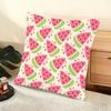 Watermelon Cushion Cover Soft Short Plush Pillow Cover Smooth Cozy Texture Aesthetic Cushion Case Home Decor