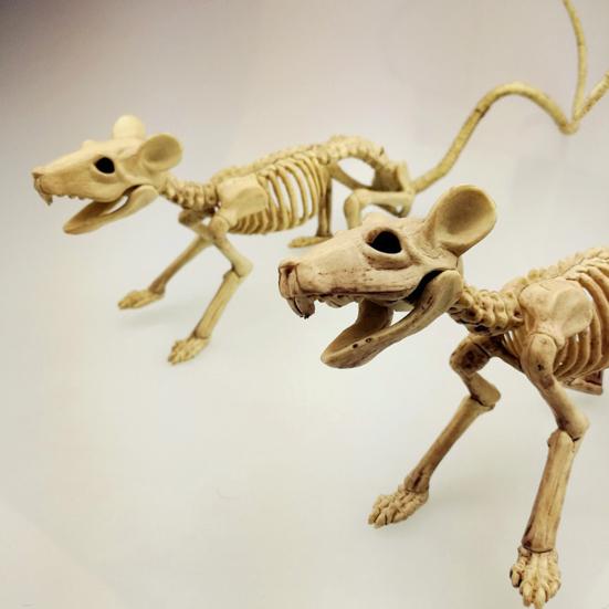 Halloween Mouse Skeleton Ornament Creepy Realistic Animal Skeleton Bone for Party Featival Decoration