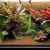 A84E-2X Natürliche Kokosfasermatte, Reptilien Teppich, Haustier Terrarium Substrat Für Eidechse Schlange Schildkröte Schildkröten Leguan Gecko