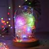 USB-betriebene Sternen-Lichterkette mit Fernbedienung, 8 Modi - Ideal für Sträuße und Dekorationen