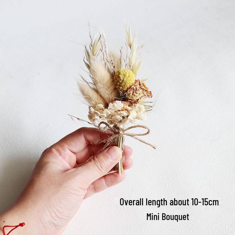 Mini Dried Flower Bouquet: Natural Air-Preserved Flowers Gift Box for DIY Decor and Handmade Ornaments.