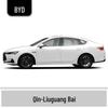 BYD Qin Car Touch-Up Paint Pen - Vehicle-Specific, Waterproof, Anti-Abrasion, Seal, Seagull, Destroyer, Frigate-Compatible.