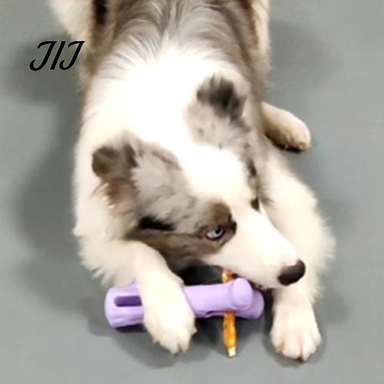 Bastoncini da Masticare per Cani a Lunga Durata, Portacaramelle, Previene il Soffocamento, Giocattolo in Gomma, Giocattoli di Arricchimento per la Noia, Forma a Ramo, Giocattolo per la Pulizia dei Denti, Piccolo e