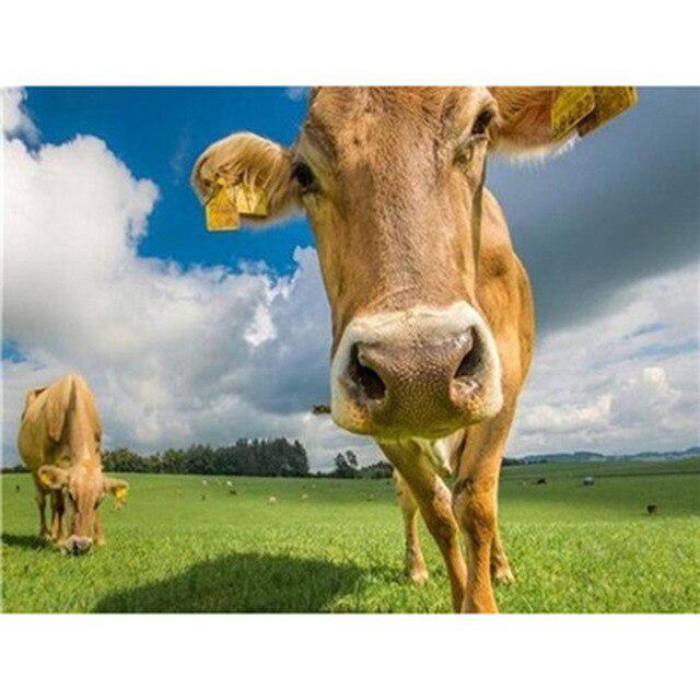DIY Diamant Malerei 5D Kuh Kreuz Stich Strass Diamant Stickerei Tiere Bild Von Strass Handwerk Wohnkultur
