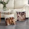 Korea Kpop Band K-Katseye Cushion Cover Inches Farmhouse Decor Home Throw Pillow Covers for Couch Decorations