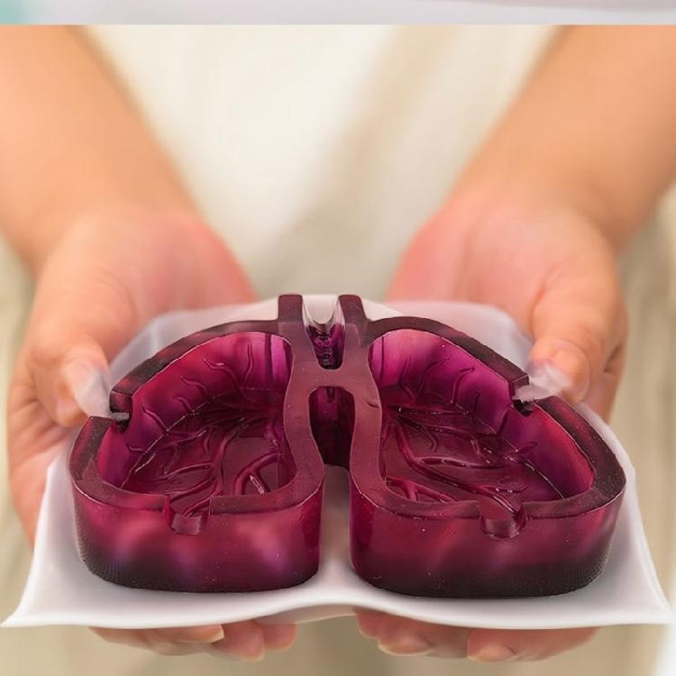 Decorative Ashtray with Distinctive Human Lungs Shape Enhances Your Environment