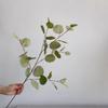 Simulated Apple Leaves Eucalyptus Artificial Flower Branches Home Soft Decoration Wedding Hall Layout Silk Flower Arrangement