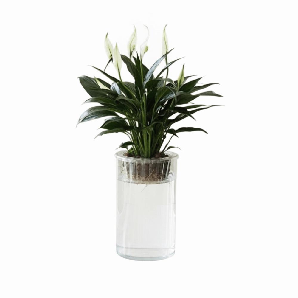 High Transparent Mini Fish Tank Imitation Glass Lazy Flower Pot Hydroponic Vase Desktop Deco
