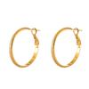Exquisite Crystal Hoop Earrings for Women - Personalized High-End Fashion, Versatile Light Luxury Style