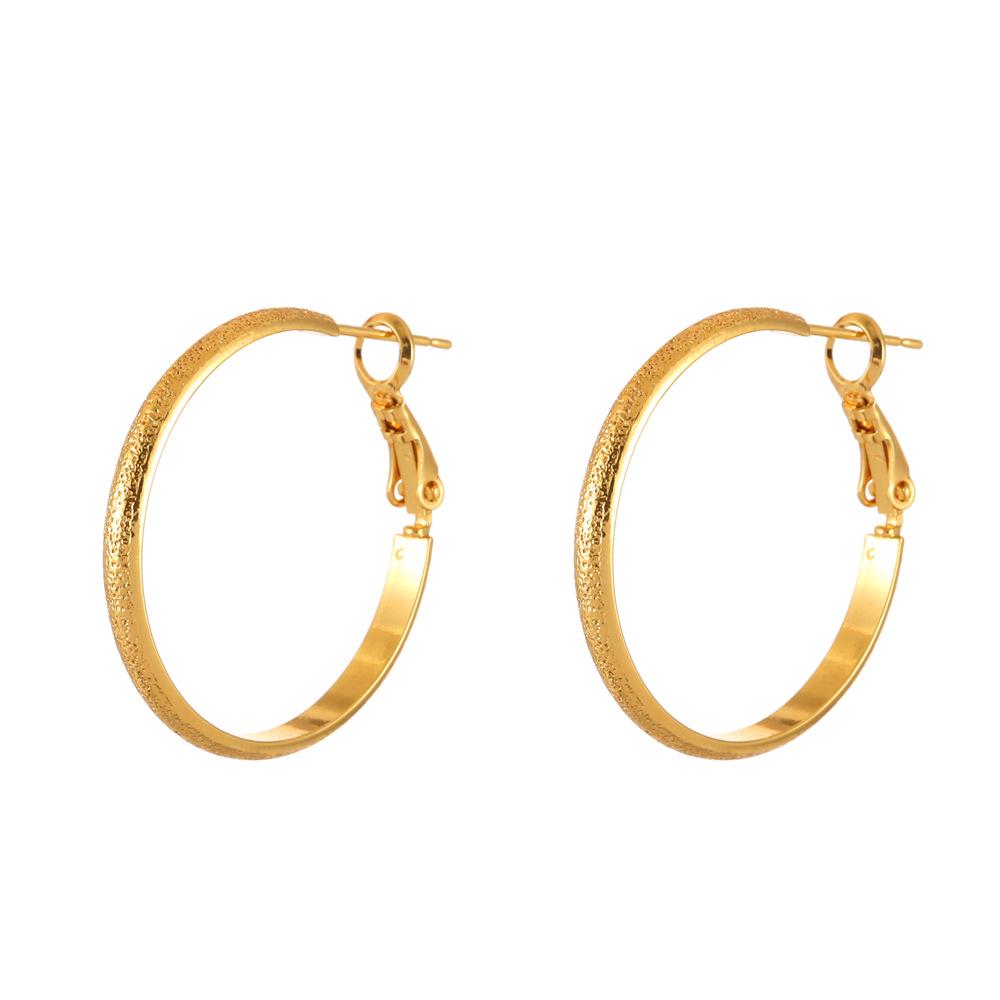Exquisite Crystal Hoop Earrings for Women - Personalized High-End Fashion, Versatile Light Luxury Style