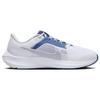 Nike Pegasus 40 Kentucky DZ5986-100