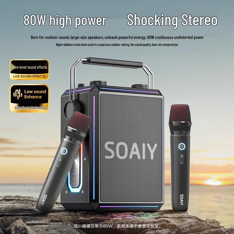 SA SSK03 Portable KTV Speaker