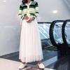 Korean High-Waist Mid-Length Tulle A-Line Skirt - Spring/Summer Pleated Mesh Design