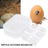 12 Grids Plastic Reptiles Egg Incubator Tray Lizard Snake Eggs Hatcher Box Case Necessary Household Pet Hatching Supplies