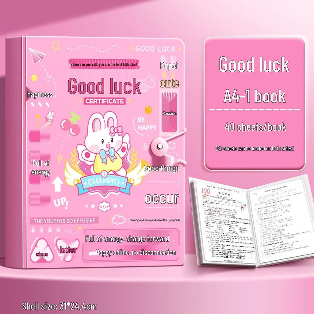 A4 Multi-Layer Transparent Document Folder with Loose-Leaf Inserts for Students