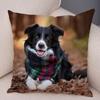 Cute Scottish Border Collie Pillowcase Dog Print  Decor Pet Animal Cushion Cover Sofa