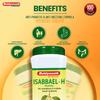 Baidyanath Isabbael H Granules 100g Pack Ayurvedic Herbal Digestive Support with Isabgol & Kutaj