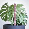 Moss Pole Plastic Plant Stand Indoor Climbing Plants Guardian Tutors Pot Moss Stick For Plants Growth Garden Support Accessories