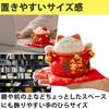 Felimoa Lucky Cat Money Feng Shui Decorative Increases Includes Set of 2 and Box, Ornament, Wealth, Cushion, (Red Blue)