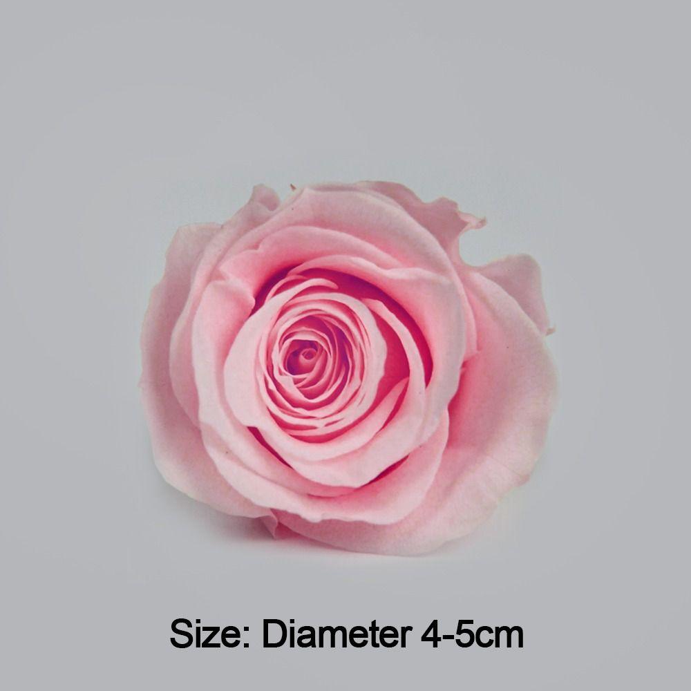 Rose DIY Long Lasting Birthday Gift Fresh Bouquet Preserved Fresh Rose Head B Grade Rose Flower