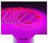 Low Voltage 12V/24V LED Strip Light 2835 - 120 LEDs for Display Cases and Counters