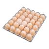 Haishidike Disposable Transparent Plastic Egg Cartons