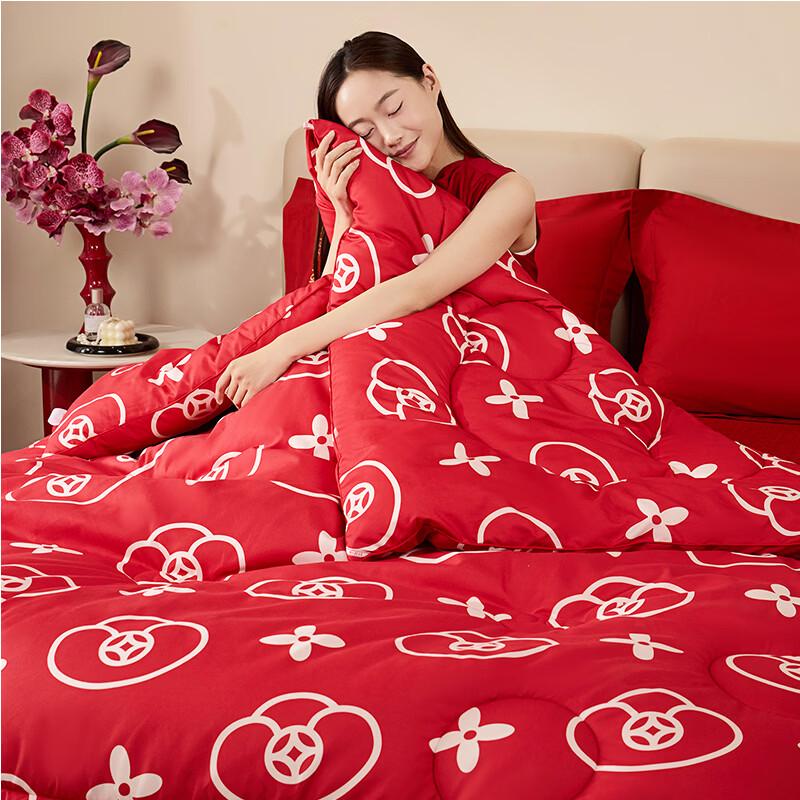 Hengyuanxiang Blessings Home Series Quilt Set