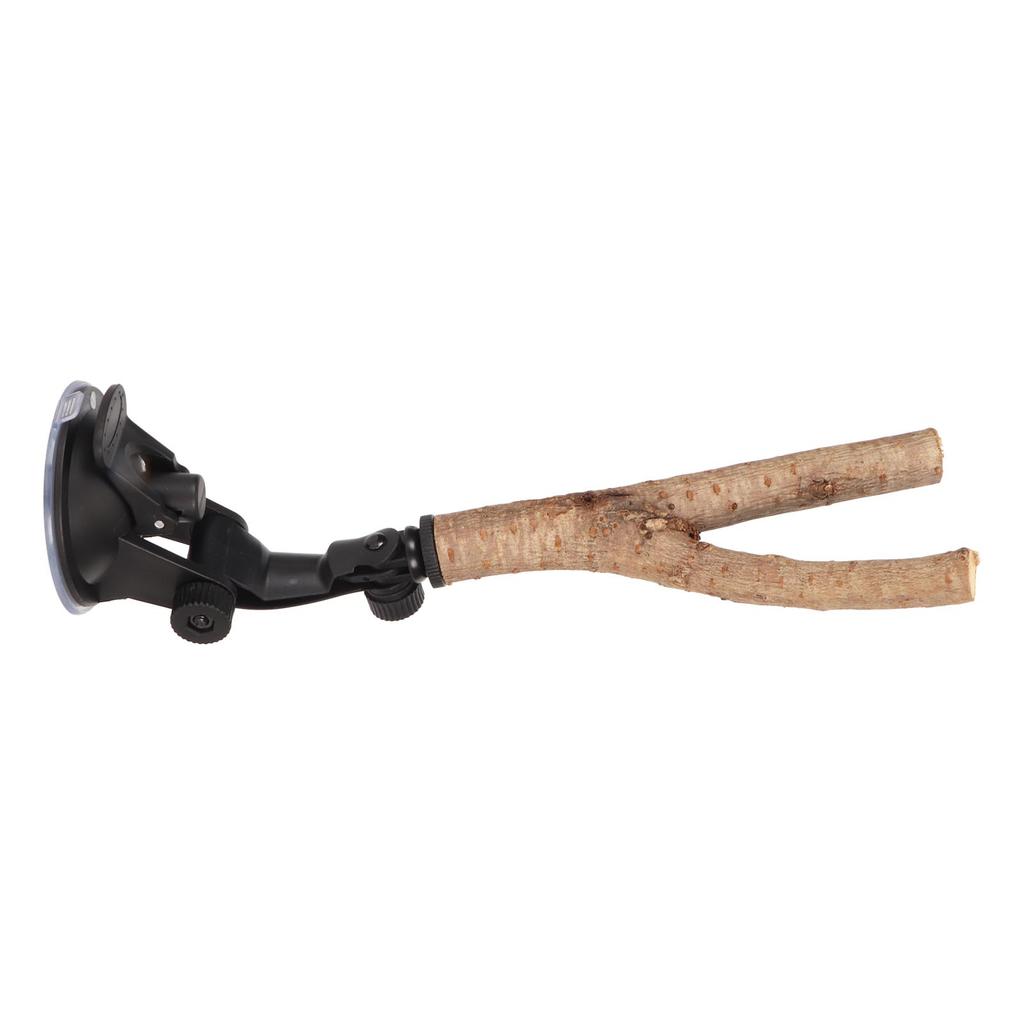 Bird Branch Perch Stand Training Interactive Prevent Slip Wooden Parrot Perch with Suction Cups for
