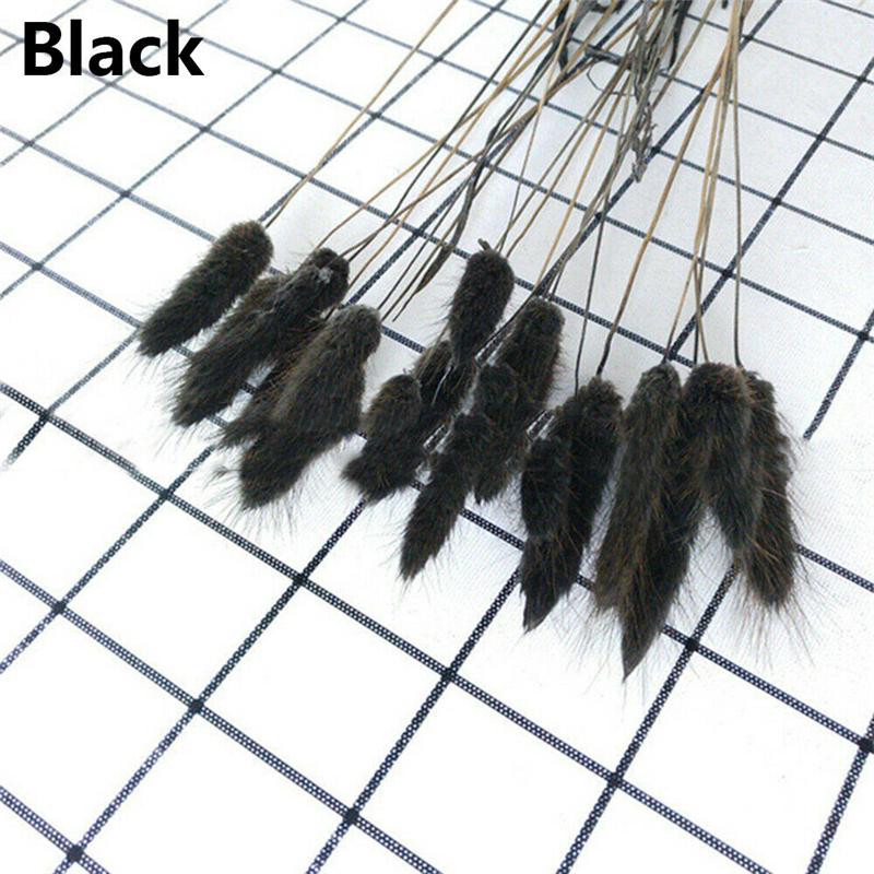 

20 шт. сушеных цветов, заячий хвост, трава, пучок, настоящий букет для реквизита для фотосъемки, цветы, сделай сам, домашний свадебный декор