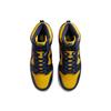 Nike Dunk High Michigan 2020 Unisex Sneakers