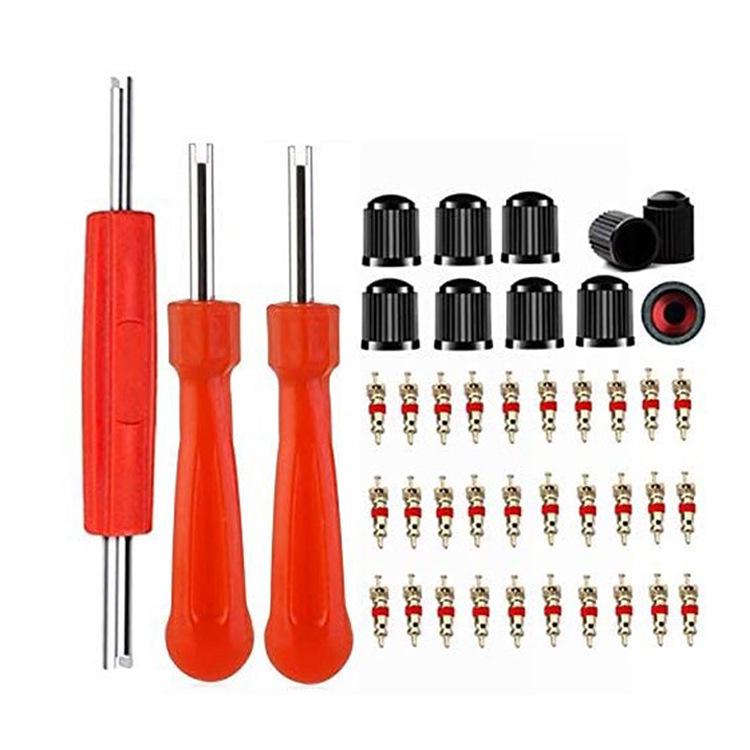 Tire Valve Core Tool Kit: 26-Piece Set with American/French Adapters, Valve Caps, and Bike Pump Accessories