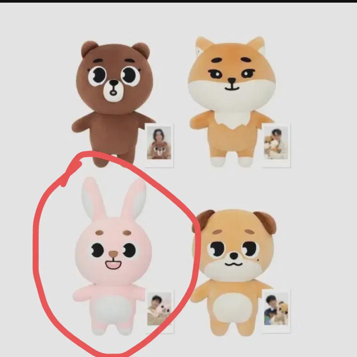 

Day6 Jamal Giant Denimals Peel Unopened Item