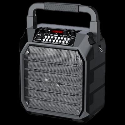 Newmine K99 Portable Bluetooth Karaoke Speaker with Dual Microphones CN Plug (adapter Included)